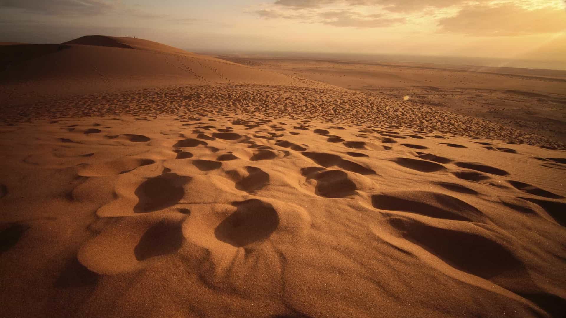 Namibe desert